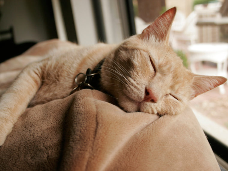 Retrouver le sommeil, une affaire de santé publique