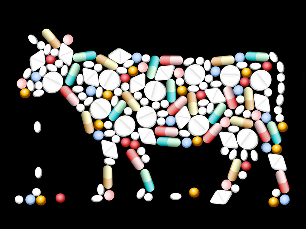 Elevage des animaux et antibiotiques-viandes et risques sanitaires