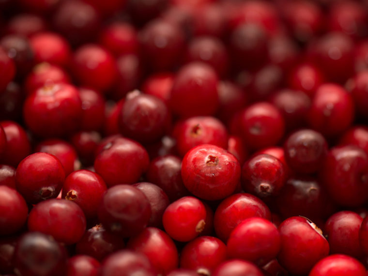 La canneberge (ou cranberry) inefficace contre les infections urinaires