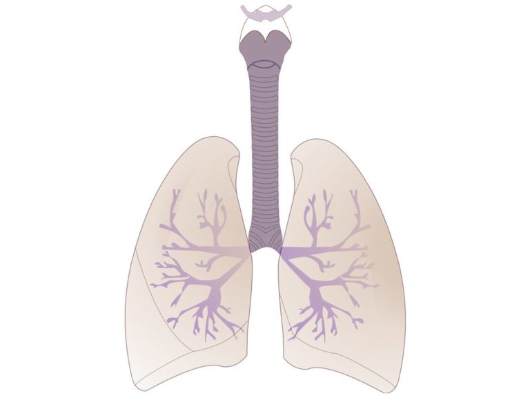 Alimentation, activités physiques et insuffisance respiratoire ...