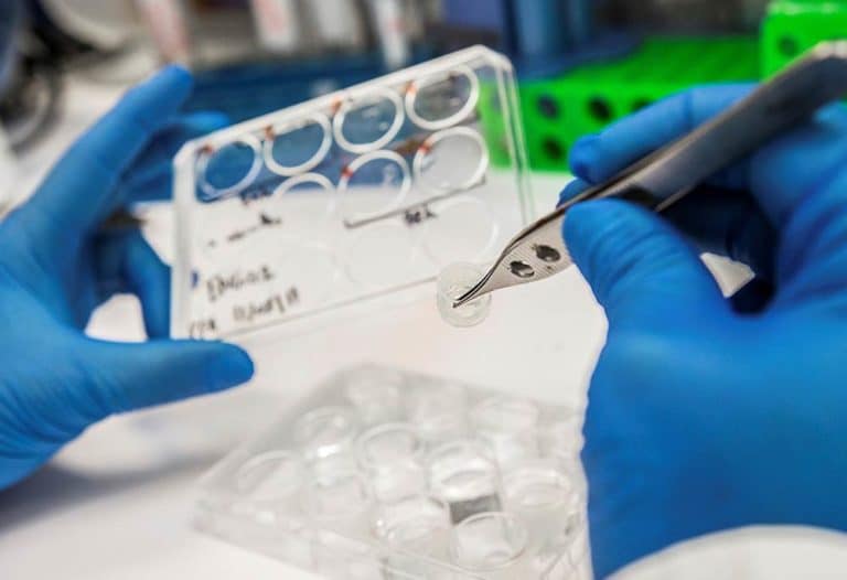C’est quoi la thérapie cellulaire ? France Assos Santé — free download